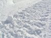 В. "Политика": Заради снега в Сърбия е обявено извънредно положение в някои общини