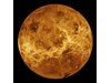 Учени разкриха, че на Венера са открити цветя, гущери и скорпиони