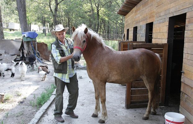 Юрий Ангелов с кобилата Сорента, която дари заради лечението на болни деца.