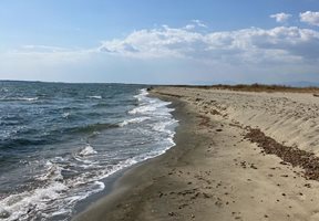 Чрез изкуствен интелект и водни дронове община Бургас ще има възможност да открива потенциални рискове от замърсяване на местообитанията в Черно море. СНИМКА: 24 ЧАСА