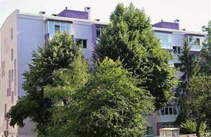 Община Велико Търново подаде 49 проекта
за енергийно обновяване на жилищни сгради
