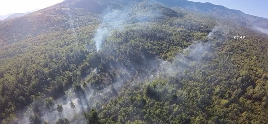 Пожарът край Вършец