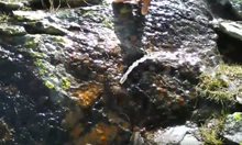 Планински спасители от Дупница откриха камък, който пуска вода (видео)