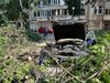 Огромно дърво се скърши и затисна две коли в Пловдив (снимки)