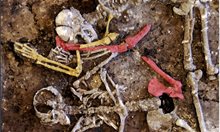 Откриха масов гроб на 9 трупа отпреди 7000 години