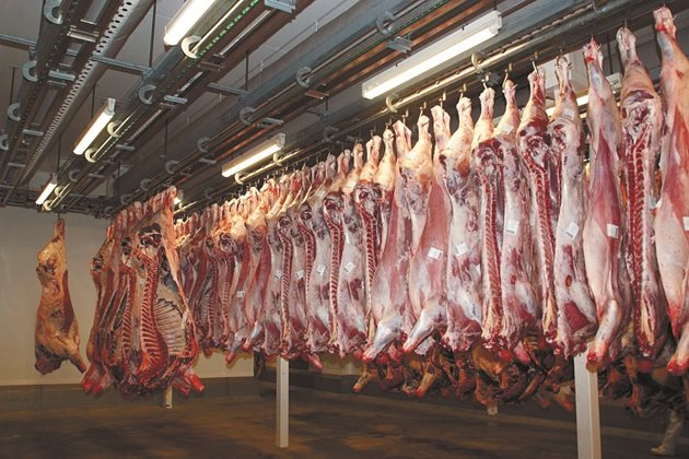 В Евросъюза се очаква спад на производството на говеждо месо с 0,5% през 2022 г.