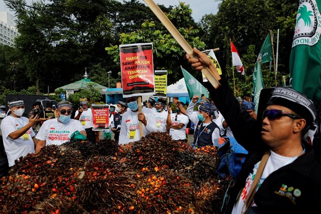 Производители на палмово масло в Индонезия протестират с искане правителството да прекрати забраната за износ на палмово масло.
