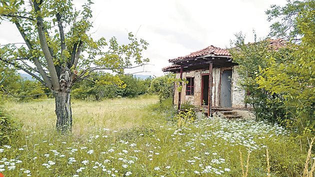 В изоставени селски имоти често учените откриват плодни дървета от стари местни сортове.