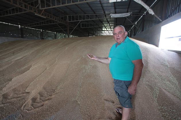 Цветан Лилов от село Вирове, Монтанско ни показва вече прибраното зърно в един от складовете му  Снимки: Андрей Белоконски