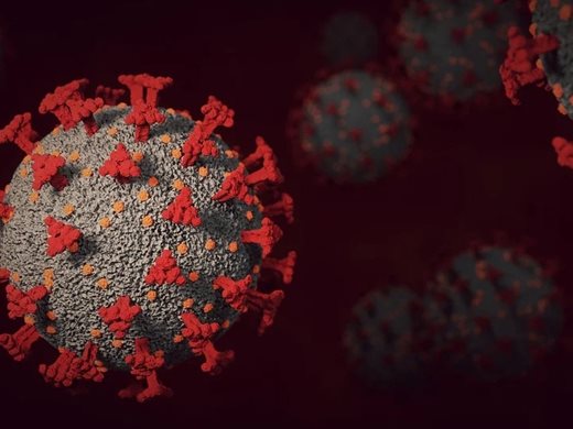 Молекула от имунната ни система може да блокира всички познати видове COVID