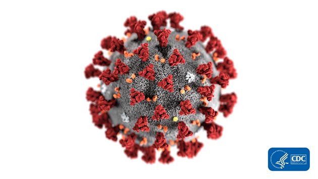 С този макет Центърът за контрол и превенция на заболяванията, САЩ, илюстрира морфологията на новия коронавиурс. Обърнете внимание на шиповете по външната повърхност на вируса, които му придават вид на корона около вириона.