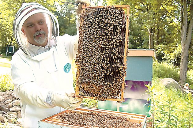 Пчеларят трябва да следи как се развива семейството