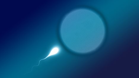 9 неща, които не знаем за спермата