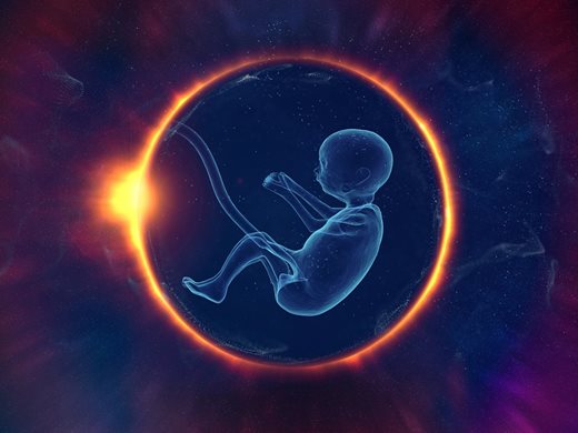 Учени откриха нов механизъм при формирането на човешкия ембрион
