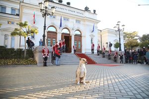 Известното куче пред НС си имало предшественик и при цар Борис III