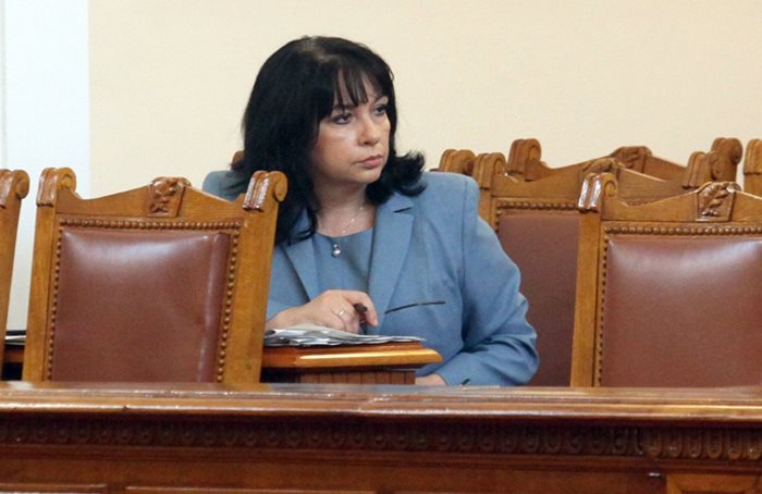 Министър Теменужка Петкова каза в парламента, че решението за централата не трябва да е прибързано.