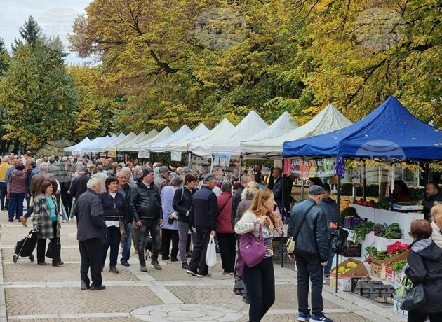 Снимка: кореспондент на БТА в Ямбол Севдалина Кръстева (архив)