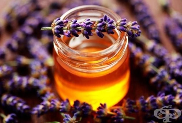 Родината на лавандуловия мед е знаменитият Прованс във Франция с безкрайните му лавандулови полета, простиращи се отвъд хоризонта. Именно там можете да намерите и натурален мед с най-високо качество.