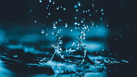"Бъди като водата" - философията на Брус Лий