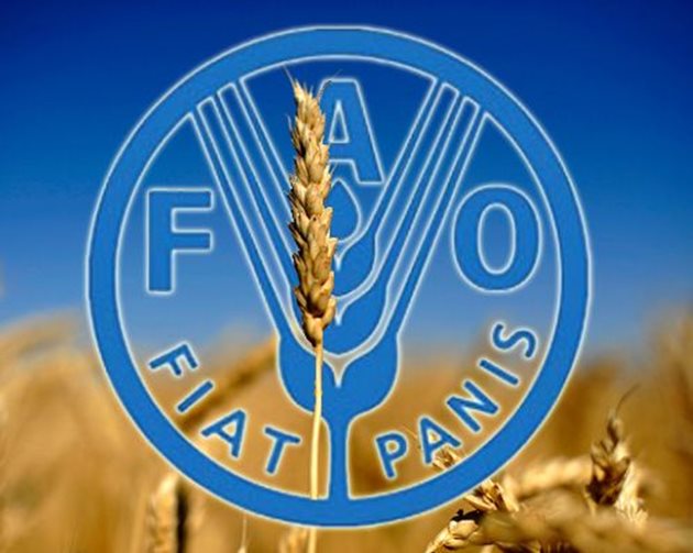 ФАО: Индексът на агроцените спадна на фона на обилното предлагане | Български Фермер