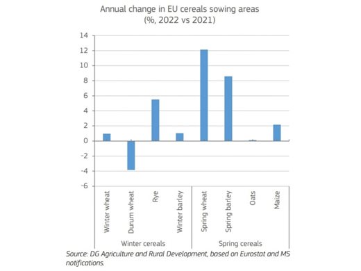 ЕК прогнозира износът да нарасне с 40%, а зърното и маслодайните култури в ЕС да се увеличат