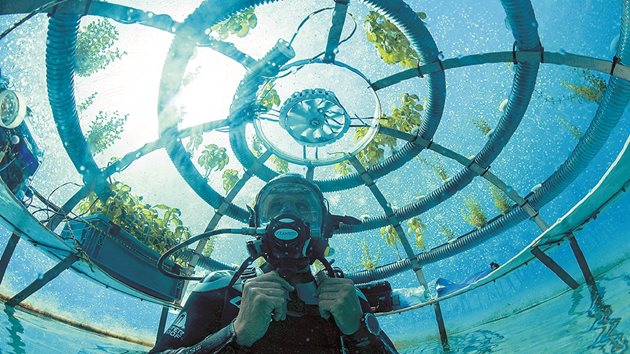 Nemo’s Garden е стартираща компания, фокусирана върху устойчивото подводно отглеждане на култури