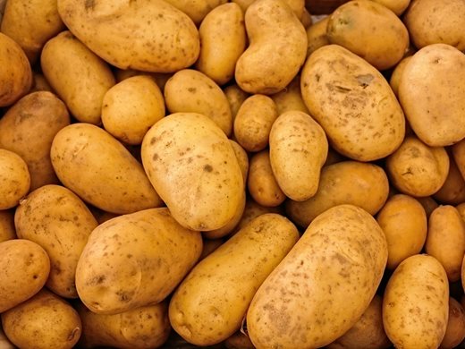 Пресните български картофи надскочиха 12 лв./кг