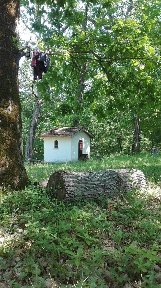 Странджанската Кръстова гора се намира на около 2 км. от село Бродилово.
