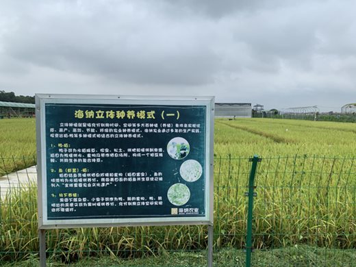 Съвременни индустриални зони за селско стопанство помагат за възраждане на селата в провинция Гуандун