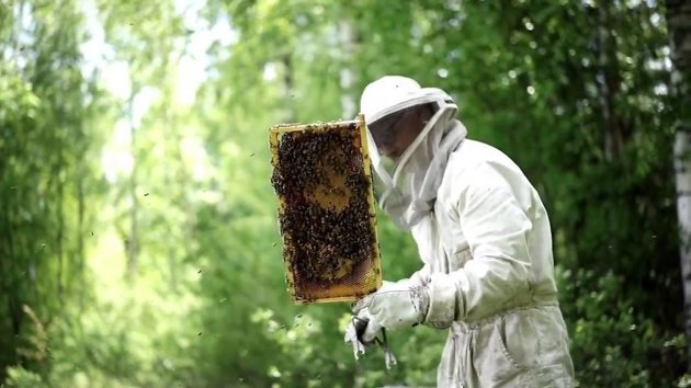 Финландия, подобно на съседна Норвегия, е нетен вносител на мед, внасяйки около 50% от меда от търсенето на пазара. Затова и делът на внесения мед непрекъснато се увеличава. Износът на мед е по-малко от 10 тона годишно.