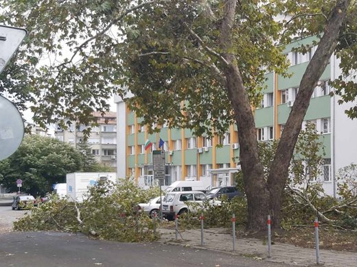 10 училища и 12 детски градини са с увредени покриви от урагана в Бургас