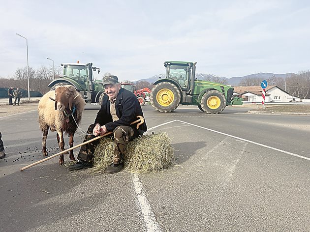 В блокадата на подбалканския път София - Бургас край село Дунавци в община Казанлък в сряда се включи и тази овца, доведена на протеста от стопанина си.
Снимка: Ваньо Стоилов