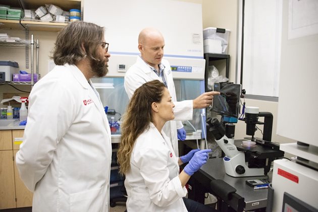 Екип учени от Университета на Юта начело с проф. Бенджамин Спайк (вляво) разработи наскоро първата подробна молекулярна карта, която ще помогне на изследователите да установят как точно се образуват туморите на гърдата.