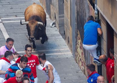 Надбягването с бикове в Испания завърши с 34-има в болница