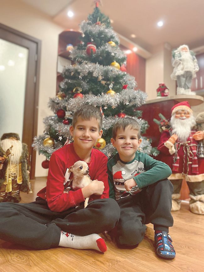 Габриел на 11 години, Даниел на 5 години и тяхната малка Лори от град Русе позират край празнично грейналата елха. Дядо Коледа зарадва с подаръци и двете момчета, както и четириногата им приятелка.