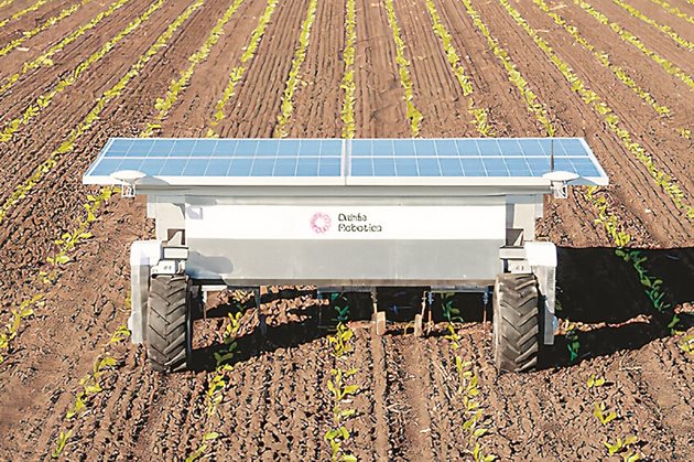 През пролетта на 2022 г. Dahlia Robotics ще тества Dahlia 3.3 в няколко ферми