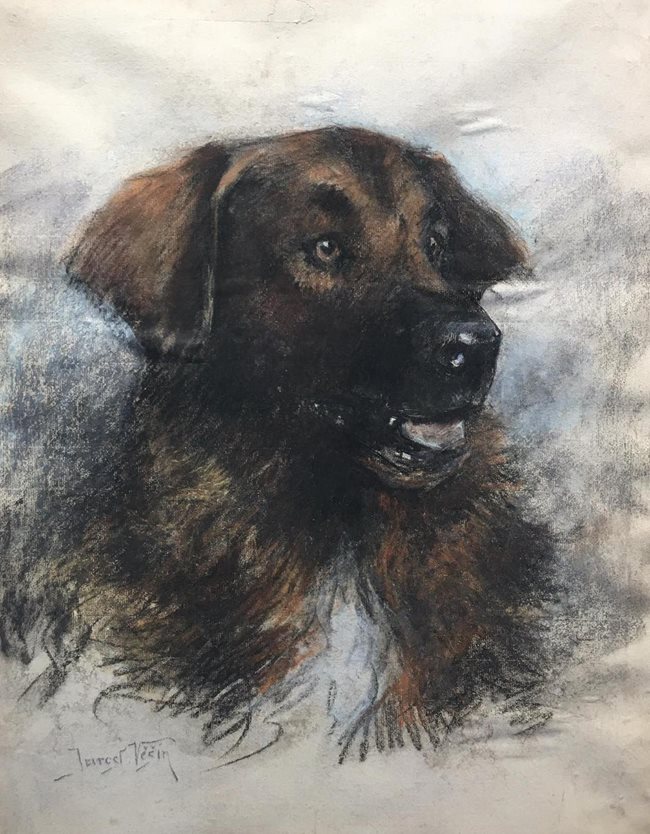 "Портрет на куче" на Ярослав Вешин -  открит е под друга картина на класика.