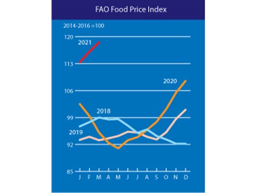 За 10-и по ред месец скочиха световните цени на храните - ето кои