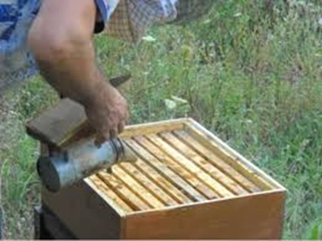 Някои пчелари намаляват с 2-3 питите в магазина или в корпусите за мед