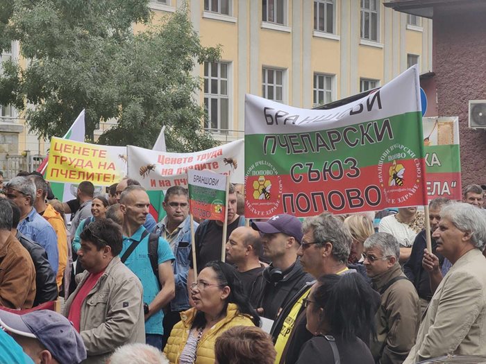 Пчелари протестират пред Земеделското министерство Снимка: Георги Кюрпанов-Генк