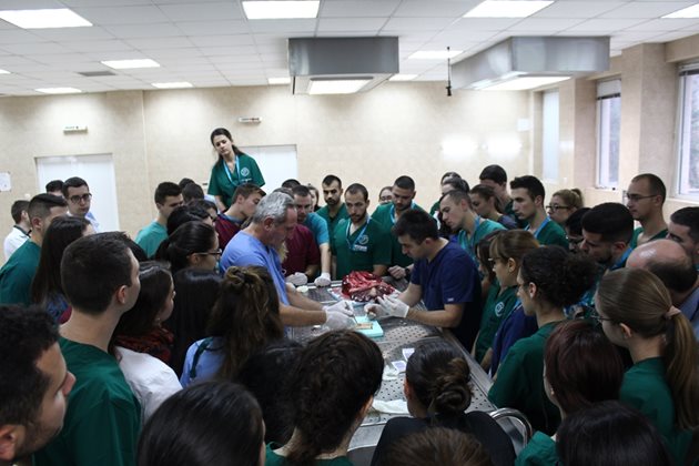 През втория ден от академията студентите правят операции и манипулации върху животинско дебело черво и черен дроб.