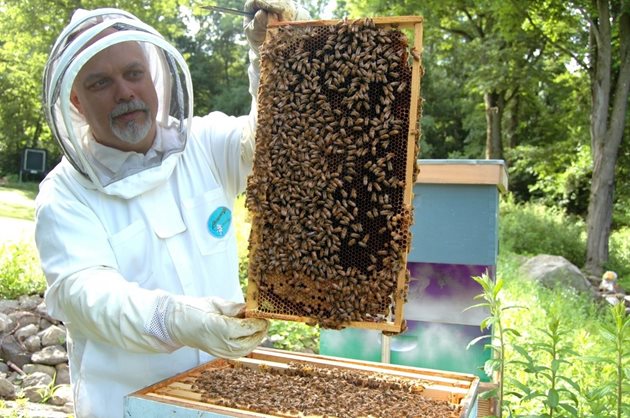 Когато за новите пчелни семейства се положат необходимите грижи те успяват да отгледат много пчели, да участват активно в следващата главна паша и да се запасят с достатъчно хранителни запаси за зимния период.
