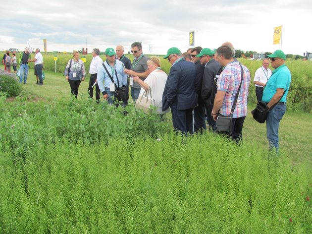 Миналата година пак във Вайкендорф, пак гости на ЗААТБАУ ЛИНЦ беше българска агрогрупа. Евелина Маринова показва поле с покривни смески и култури