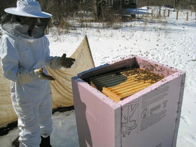След силен вятър винаги проверявайте дали няма отнесени капаци на кошери или други поражения в пчелина.