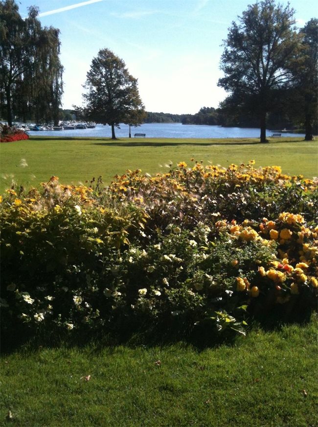 Две трети от сушата на Стокхолм са покрити със зеленина.