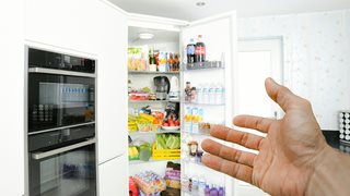 Д-р Уорнър Грийн: Коронавирусът може би оцелява в хладилника ви
