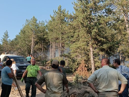 Министър Иванов: Над 100 горски и пожарникари борят  пожара при Калугерово