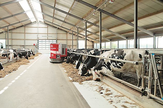 Намаляването на разходите за фураж трябва да бъде балансирано със задоволяване на нуждите на кравите и без компромис с производителността на стадото