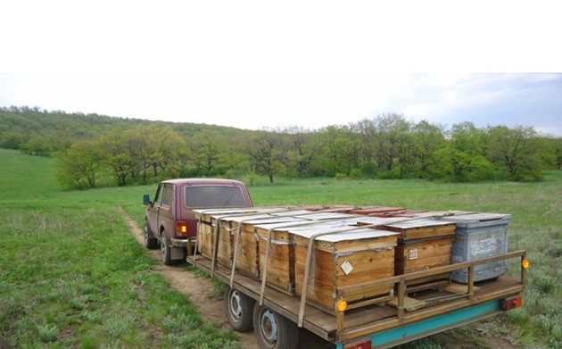 С подвижно пчеларство добивите на мед и восък са 2-3 пъти по-високи