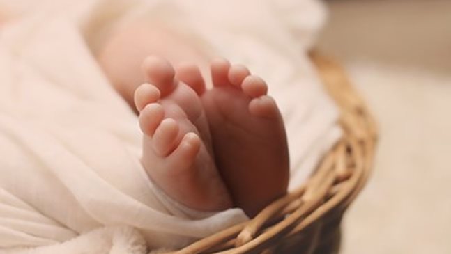 От началото на годината във Варна 9 бебета са родени с помощта на общинска инвитро програма